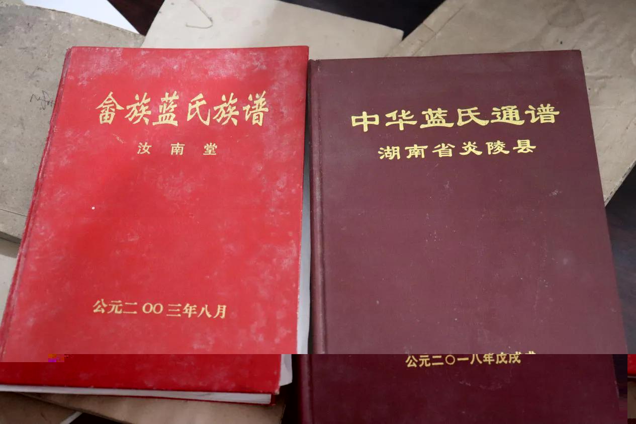 湖工學子赴炎陵：體味畲族文化 尋訪百年文化